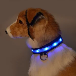 LED Pet Safety Collar - Chargeable!