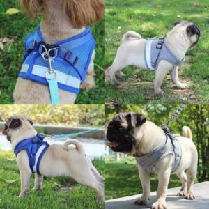Reflective-Cat-Safety-Harness